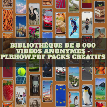 Bibliothèque de 8 000 vidéos anonymes - PLRHOW.pdf  Packs créatifs